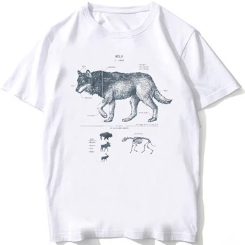 Реколта тениска с анатомичен модел на Вълка, Лятна мъжка тениска с къс ръкав и забавни животни, Мъжки тениски в хипстерском плажния стил, Бели тениски с принтом, върхове